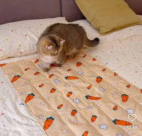 Carrot